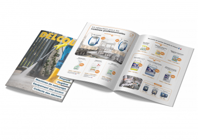 creationbrochuredelcourt